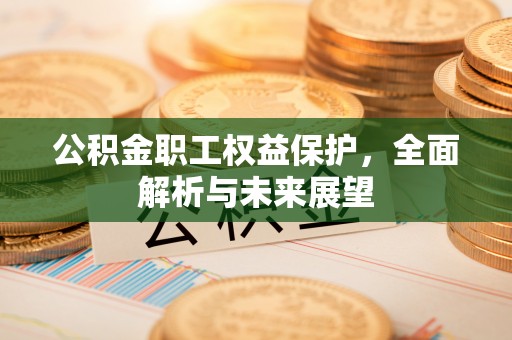 潍城公积金职工权益保护，全面解析与未来展望
