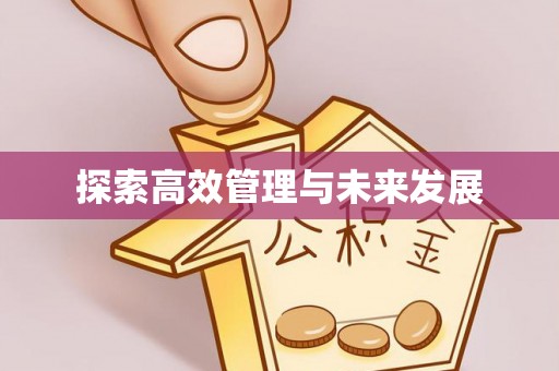 潍城探索高效管理与未来发展