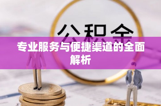 潍城专业服务与便捷渠道的全面解析
