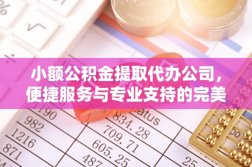 潍城小额公积金提取代办公司，便捷服务与专业支持的完美结合