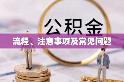 潍城流程、注意事项及常见问题