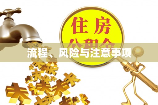 潍城流程、风险与注意事项
